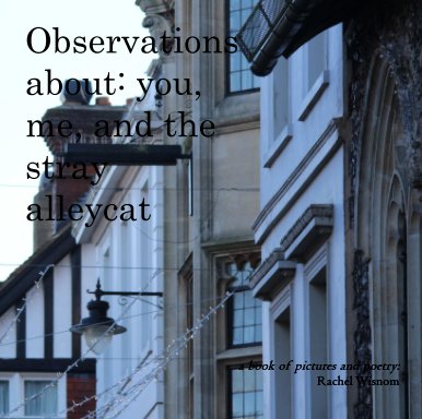 Observations about: you, me, and the stray alleycat book cover