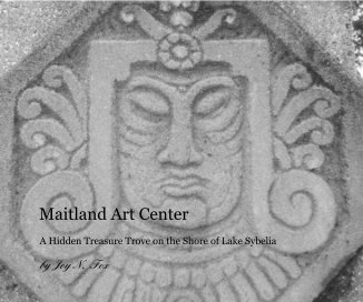 Maitland Art Center book cover