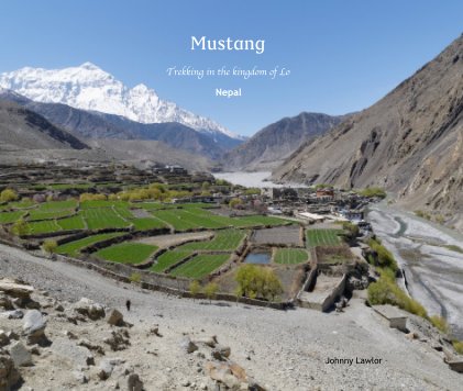 Mustang book cover