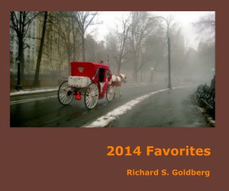 2014 Favorites book cover
