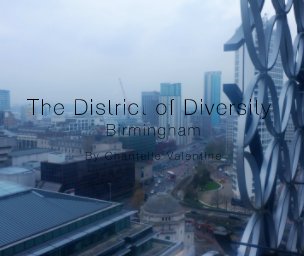 The District of Diversity book cover
