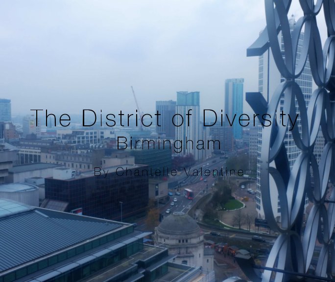 View The District of Diversity by Chantelle Valentine