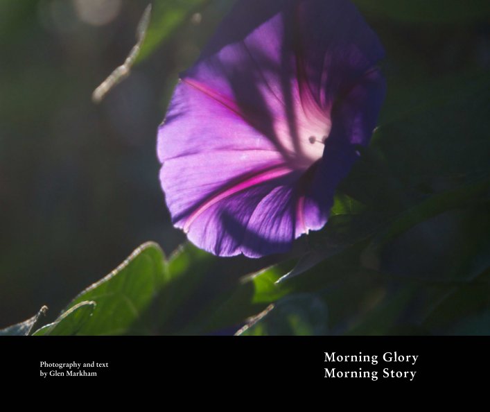 Ver Morning Glory Morning Story por Photography and text by Glen Markham