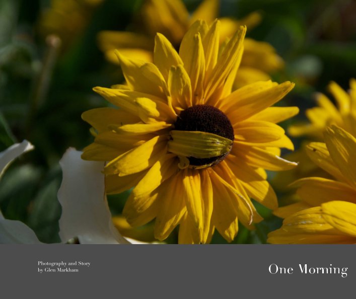 Ver One Morning por Photography and Story by Glen Markham