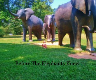 Before The Elephants Knew book cover