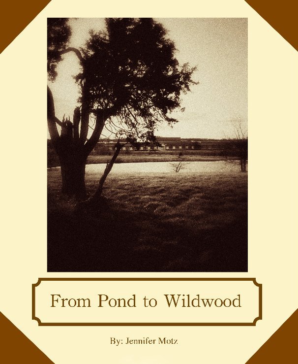 View From Pond to Wildwood by Jennifer Motz