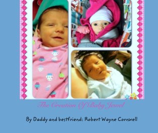The Creation Of Baby Jewel book cover