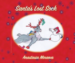 Santas Lost Sock book cover