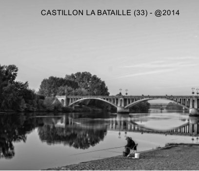 CASTILLON LA BATAILLE (33) book cover