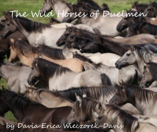 The Wild Horses of Duelmen book cover