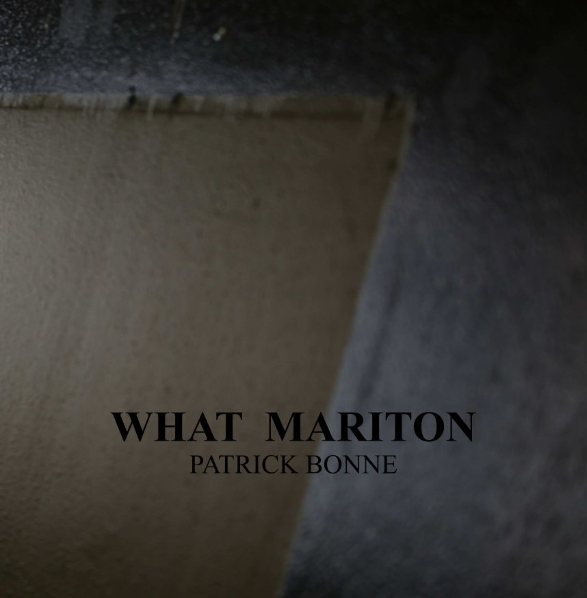 Visualizza WHAT MARITON di Patrick Bonne