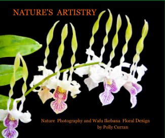 NATURE'S ARTISTRY book cover
