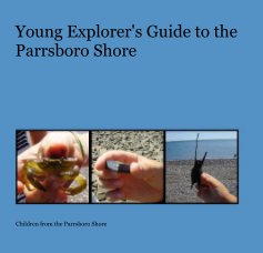 Young Explorer's Guide to the Parrsboro Shore book cover