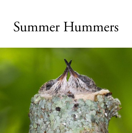 View Summer Hummers (Hardcover) by Bradley Burquest