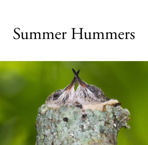 View Summer Hummers (Softcover) by Bradley Burquest
