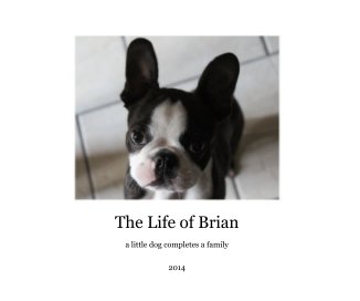 The Life of Brian book cover