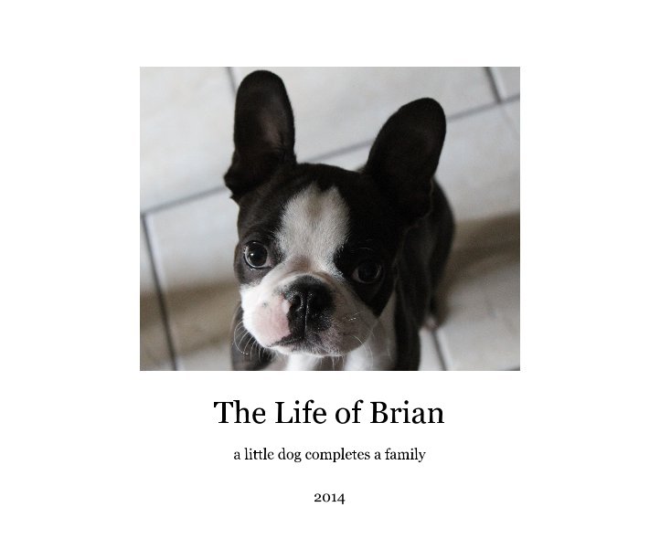 View The Life of Brian by Jeanne Stewart