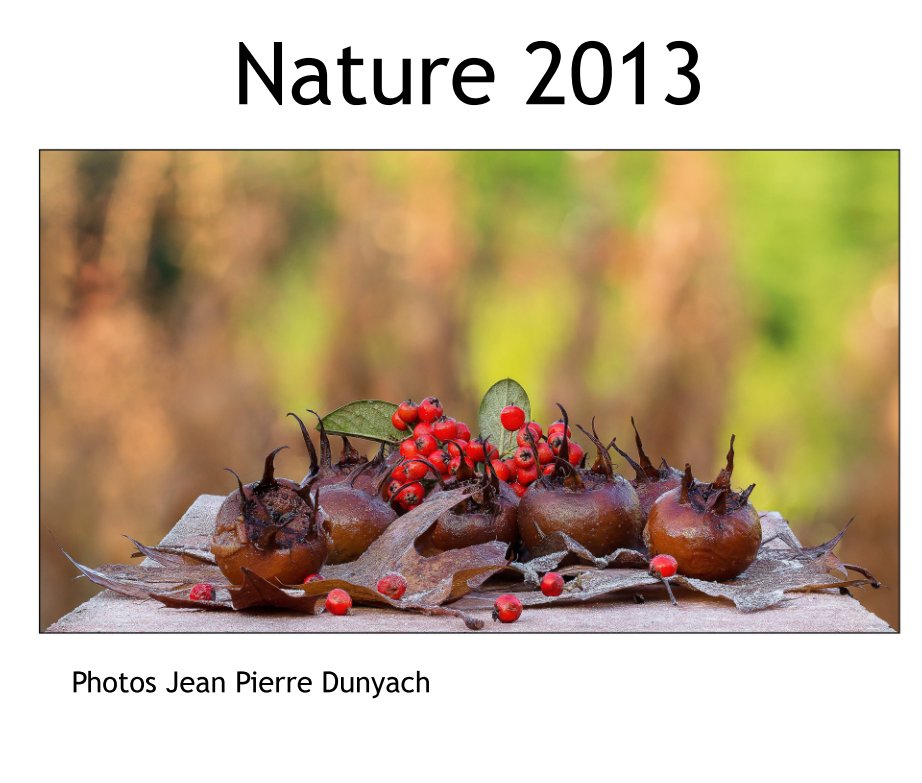 Ver Nature 2013 por Jean Pierre Dunyach