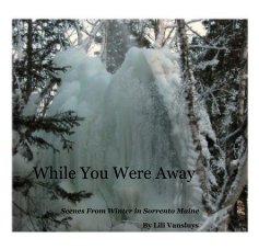 While You Were Away book cover