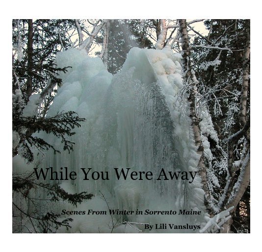 View While You Were Away by Lili Vansluys
