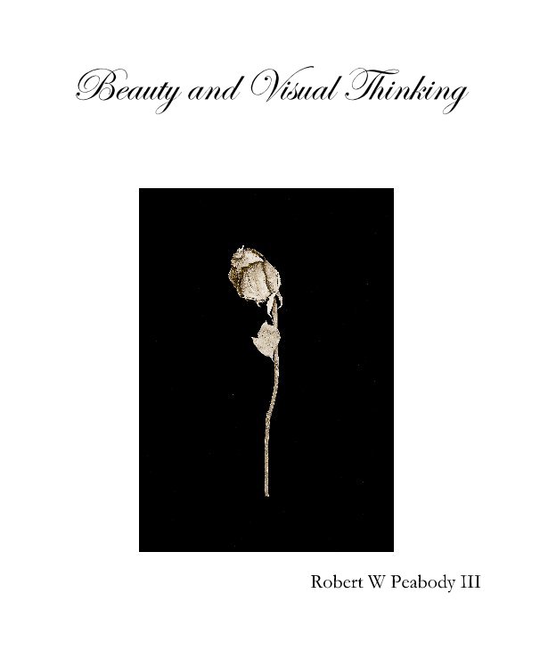 View Beauty and Visual Thinking by Robert W Peabody III