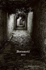 Boconeti book cover