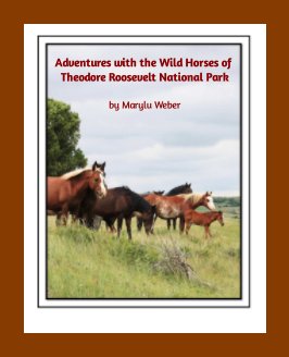 Adventures with the Wild Horses of Theodore Roosevelt National Park book cover