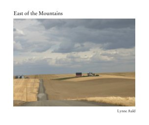 East of the Mountains book cover