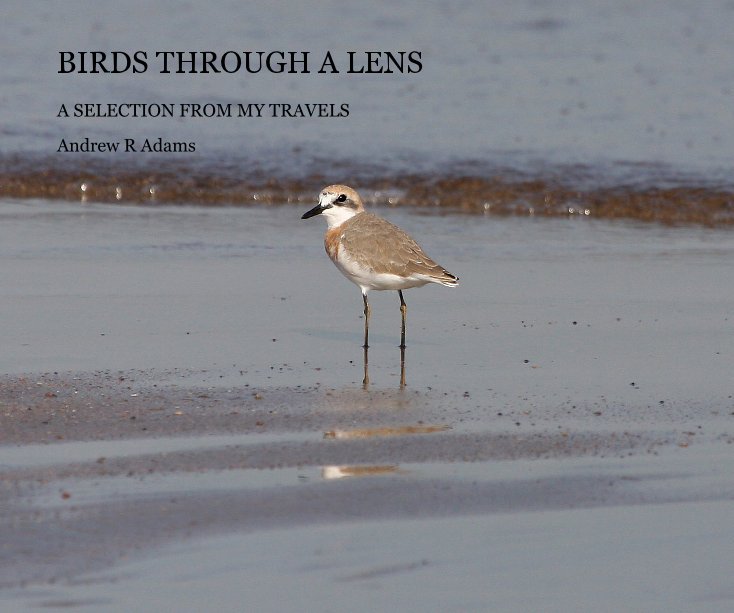View BIRDS THROUGH A LENS by Andrew R Adams