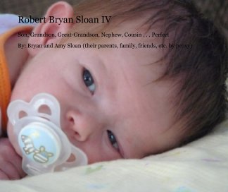 Robert Bryan Sloan IV book cover