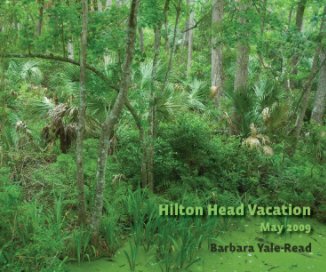 Hilton Head book cover