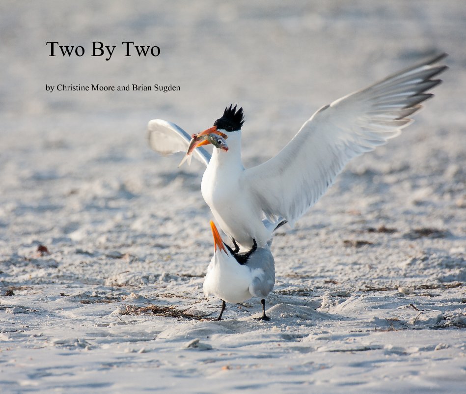 View Two By Two by Christine Moore - Brian Sugden