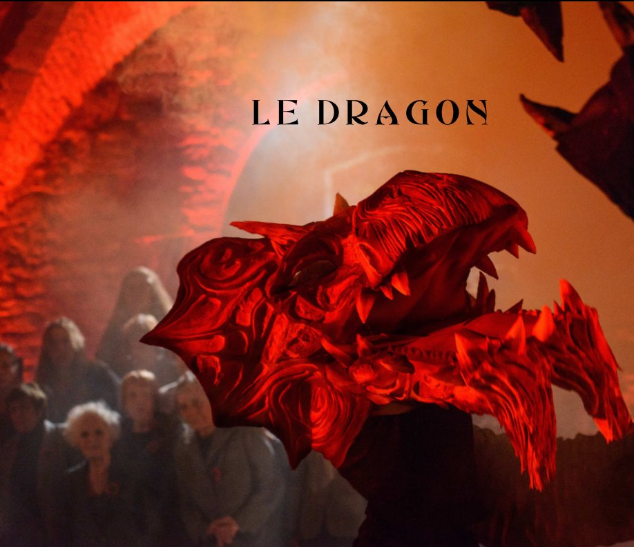 View Le Dragon by Ger Spendel