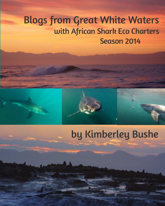View Blogs from Great White Waters by Kimberley Bushe