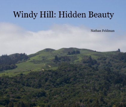 Windy Hill: Hidden Beauty book cover