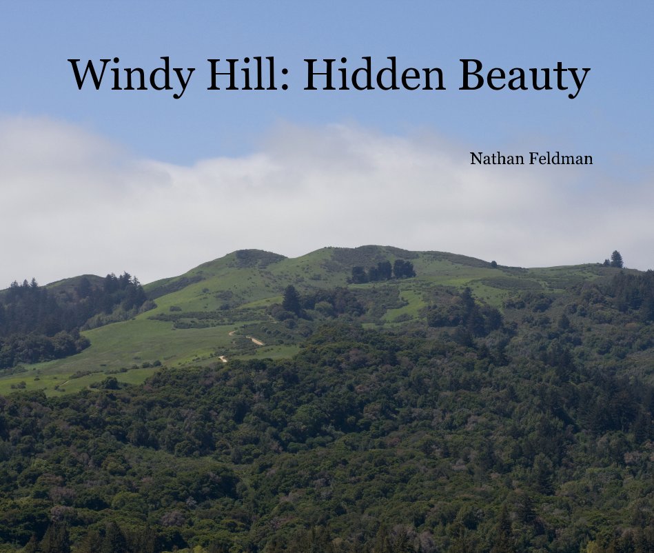 View Windy Hill: Hidden Beauty by Nathan Feldman