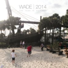 WADE | 2014 book cover