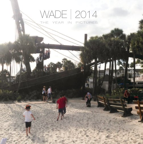 Visualizza WADE | 2014 di Stephen Rogers