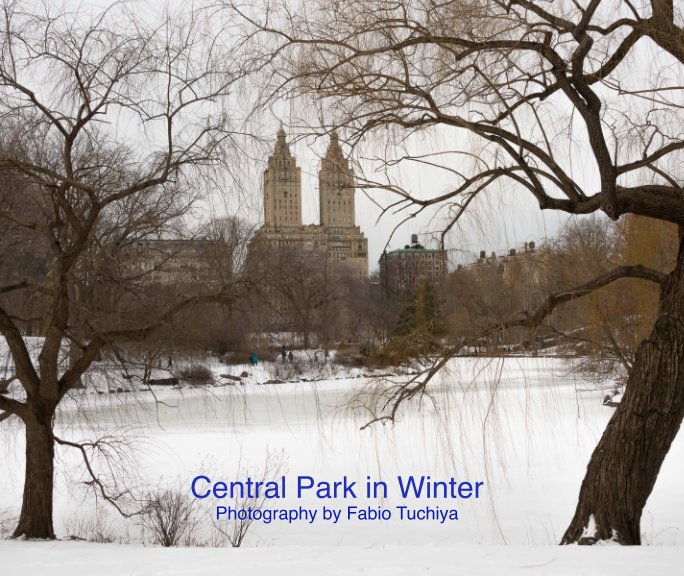 View Central Park in Winter by Fabio Tuchiya