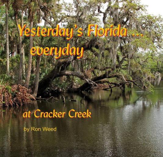 View Yesterday's Florida ... everyday by Ron weed