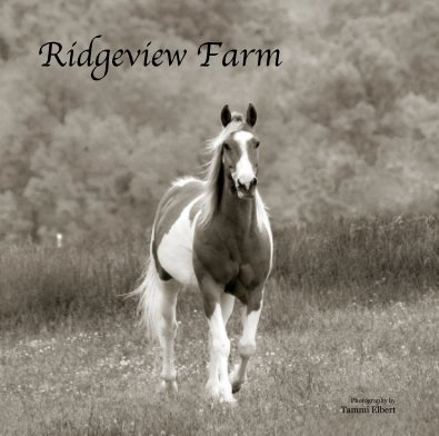 Ridgeview Farm book cover