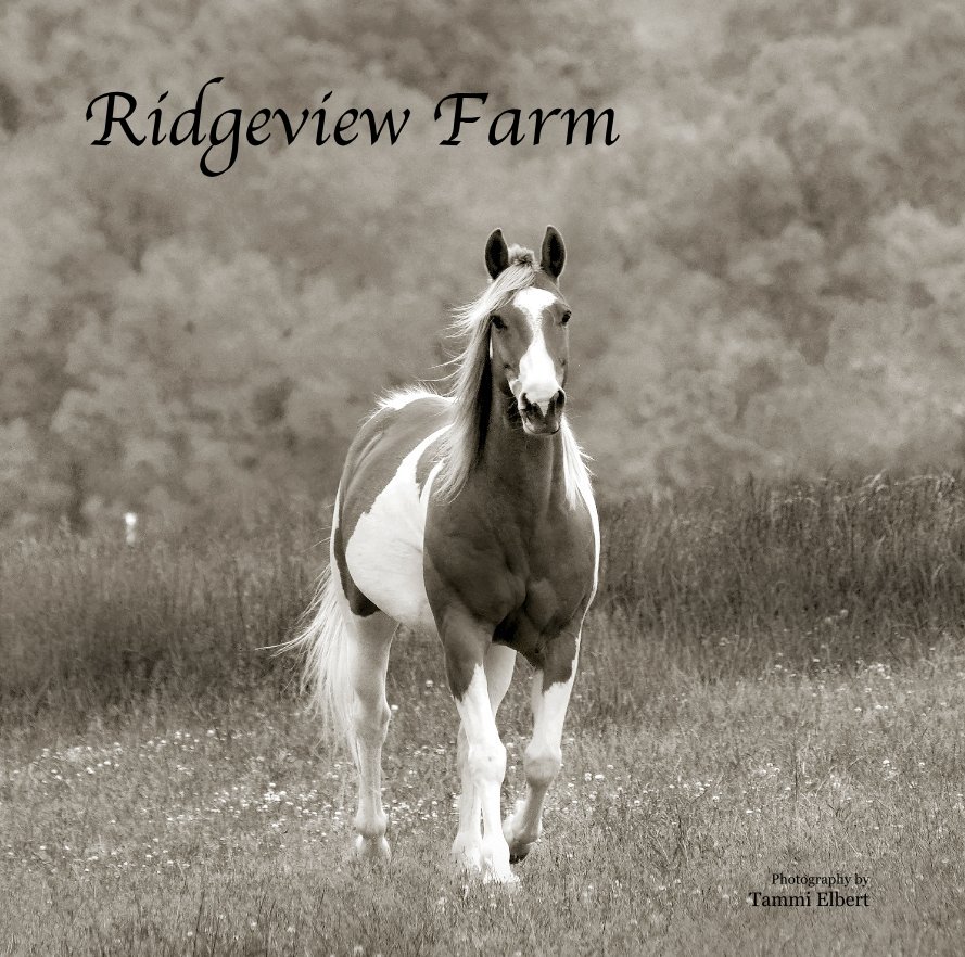 View Ridgeview Farm by Photography by Tammi Elbert
