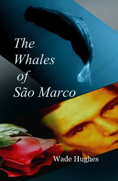 View The Whales of Sao Marco by Wade Hughes