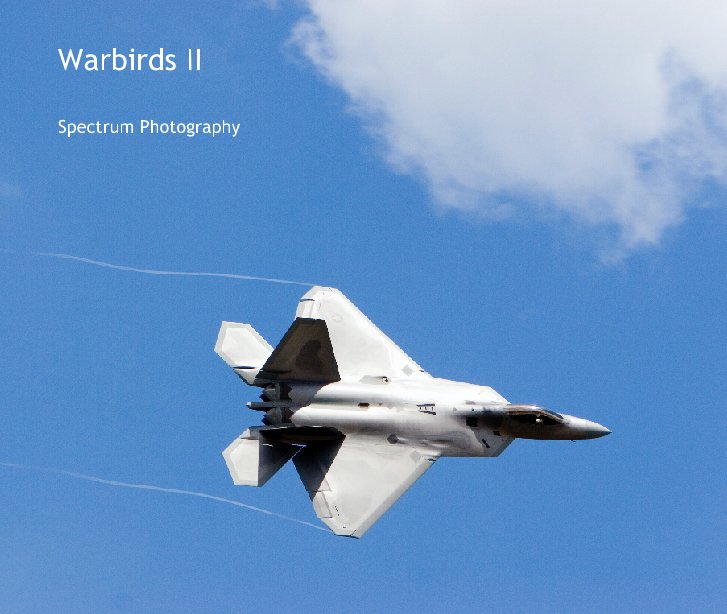 View Warbirds II by Spectrum Photography