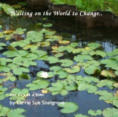 Waiting on the World to Change.. book cover