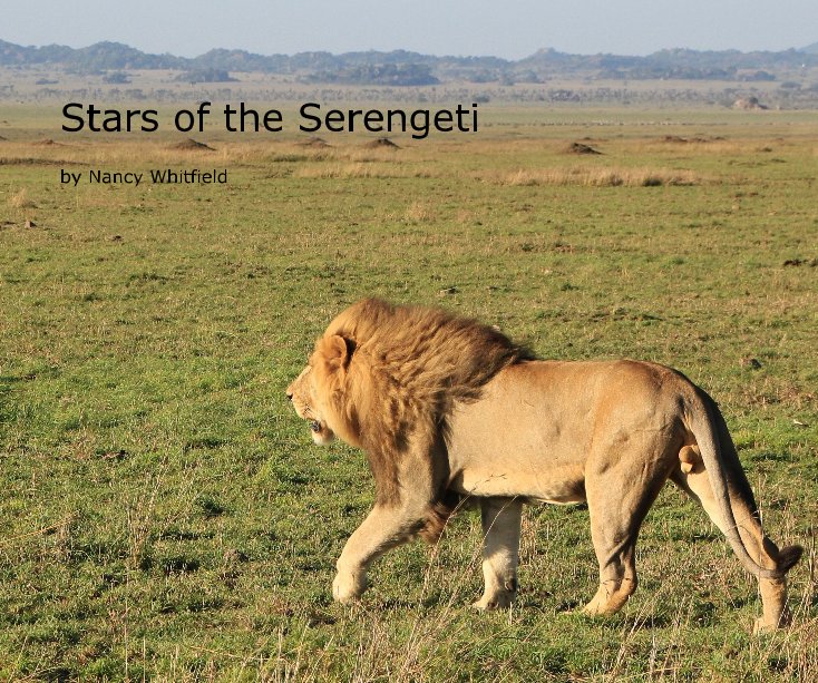Ver Stars of the Serengeti por Nancy Whitfield