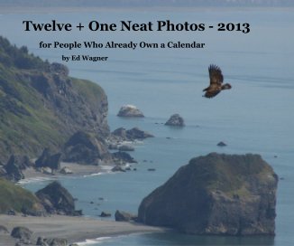 Twelve + One Neat Photos - 2013 book cover