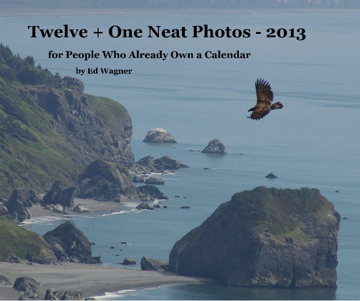 Visualizza Twelve + One Neat Photos - 2013 di Ed Wagner