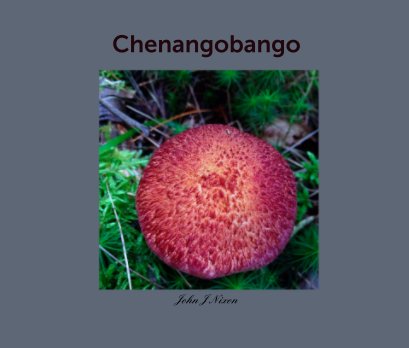 Chenangobango book cover
