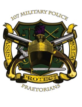 107 TH MILITARY POLICE COMPANY book cover